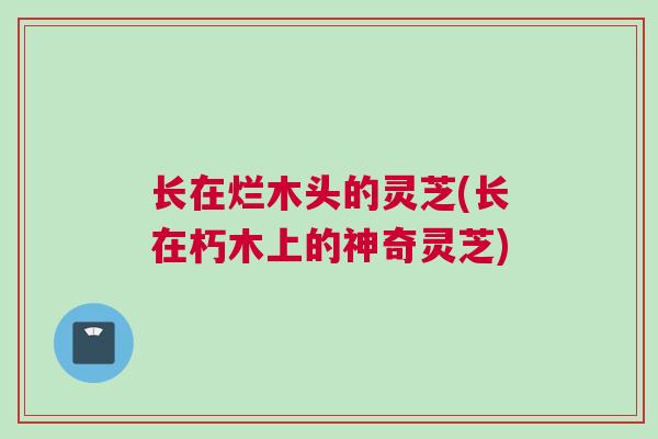 长在烂木头的灵芝(长在朽木上的神奇灵芝)