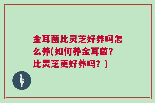 金耳菌比灵芝好养吗怎么养(如何养金耳菌？比灵芝更好养吗？)