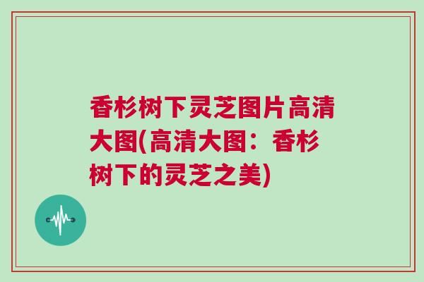 香杉树下灵芝图片高清大图(高清大图：香杉树下的灵芝之美)