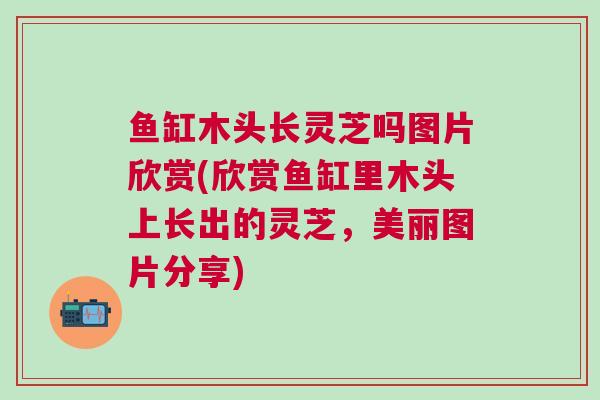 鱼缸木头长灵芝吗图片欣赏(欣赏鱼缸里木头上长出的灵芝，美丽图片分享)