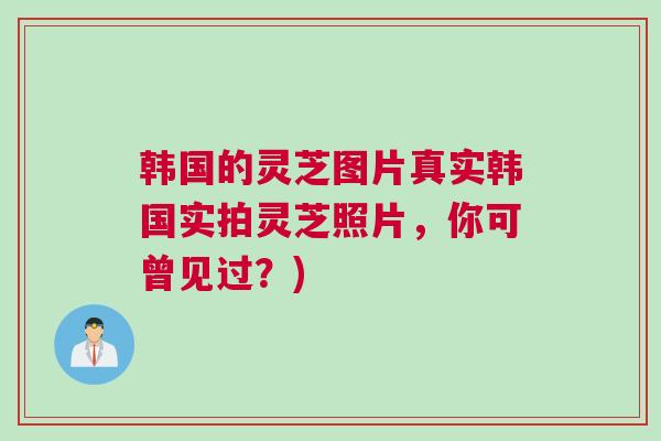 韩国的灵芝图片真实韩国实拍灵芝照片，你可曾见过？)