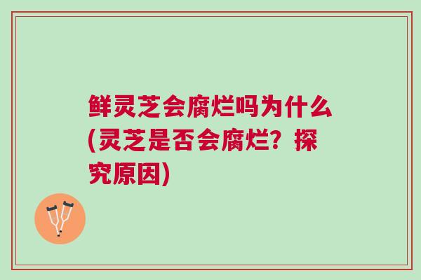 鲜灵芝会腐烂吗为什么(灵芝是否会腐烂？探究原因)