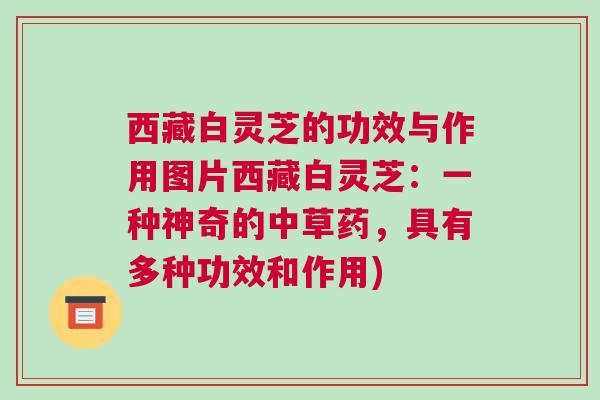 西藏白灵芝的功效与作用图片西藏白灵芝:一种神奇的中草药,具有多种功效和作用) 西藏白灵芝的功效与作用图片西藏白灵芝:一种神奇的中草药,具有多种功效和作用)