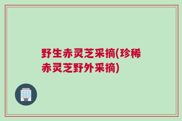 野生赤灵芝采摘(珍稀赤灵芝野外采摘)