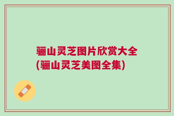 骊山灵芝图片欣赏大全(骊山灵芝美图全集) 骊山灵芝图片欣赏大全(骊山灵芝美图全集)