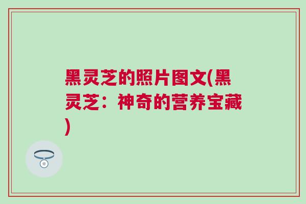 黑灵芝的照片图文(黑灵芝:神奇的营养宝藏) 黑灵芝的照片图文(黑灵芝:神奇的营养宝藏)