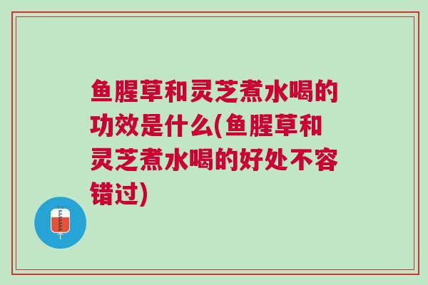 鱼腥草和灵芝煮水喝的功效是什么(鱼腥草和灵芝煮水喝的好处不容错过)