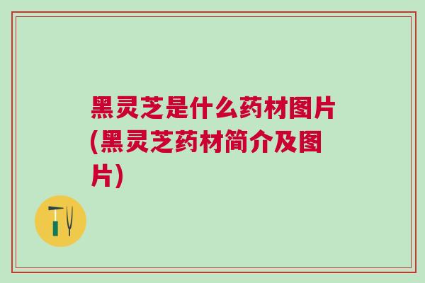 黑灵芝是什么药材图片(黑灵芝药材简介及图片)