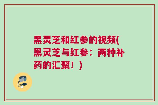 黑灵芝和红参的视频(黑灵芝与红参：两种补药的汇聚！)