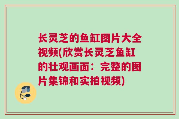 长灵芝的鱼缸图片大全视频(欣赏长灵芝鱼缸的壮观画面：完整的图片集锦和实拍视频)