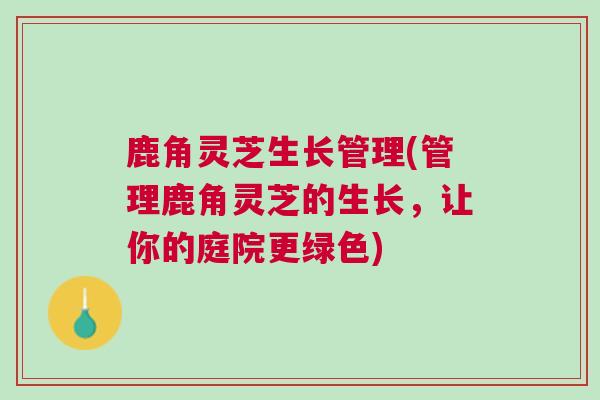 鹿角灵芝生长管理(管理鹿角灵芝的生长，让你的庭院更绿色)