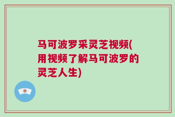 马可波罗采灵芝视频(用视频了解马可波罗的灵芝人生)
