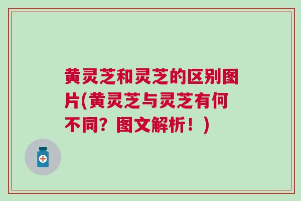 黄灵芝和灵芝的区别图片(黄灵芝与灵芝有何不同？图文解析！)