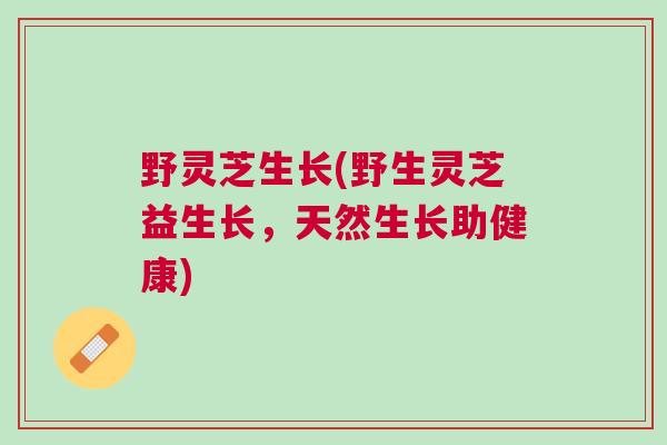 野灵芝生长(野生灵芝益生长，天然生长助健康)