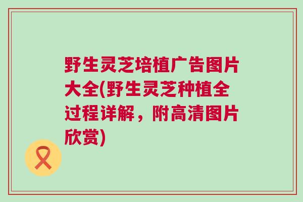 野生灵芝培植广告图片大全(野生灵芝种植全过程详解，附高清图片欣赏)