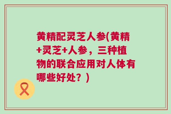 黄精配灵芝人参(黄精+灵芝+人参，三种植物的联合应用对人体有哪些好处？)