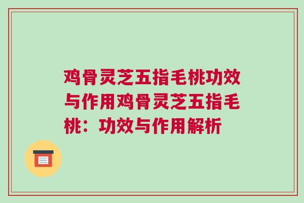 鸡骨灵芝五指毛桃功效与作用鸡骨灵芝五指毛桃：功效与作用解析