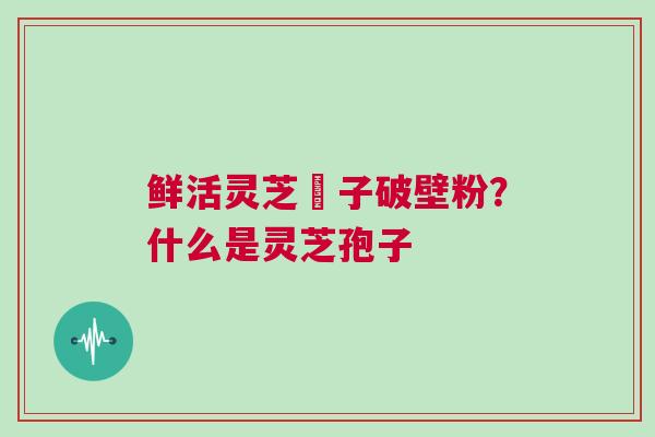 鲜活灵芝菢子破壁粉？什么是灵芝孢子