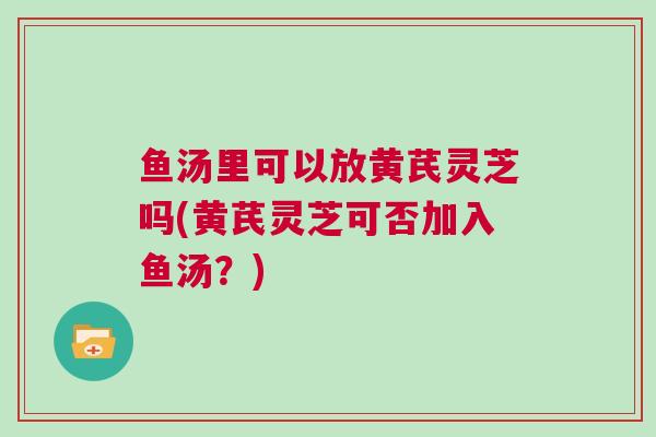 鱼汤里可以放黄芪灵芝吗(黄芪灵芝可否加入鱼汤？)