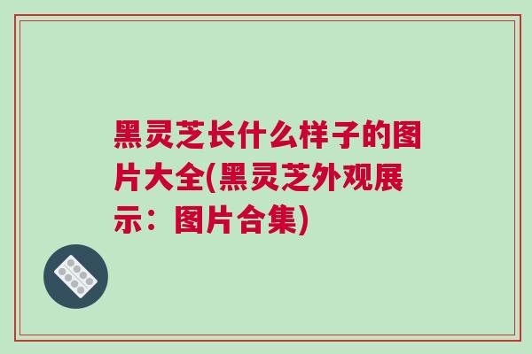 黑灵芝长什么样子的图片大全(黑灵芝外观展示：图片合集)