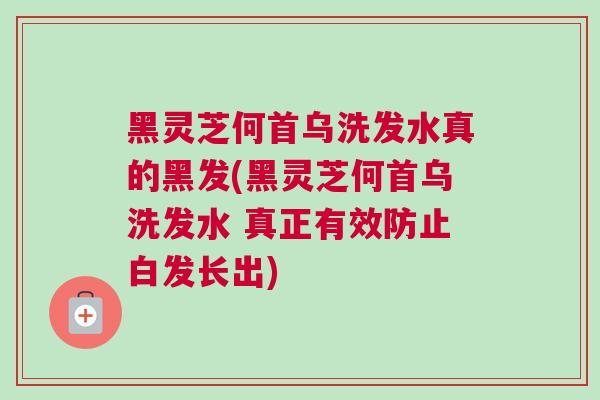 黑灵芝何首乌洗发水真的黑发(黑灵芝何首乌洗发水 真正有效防止白发长出)