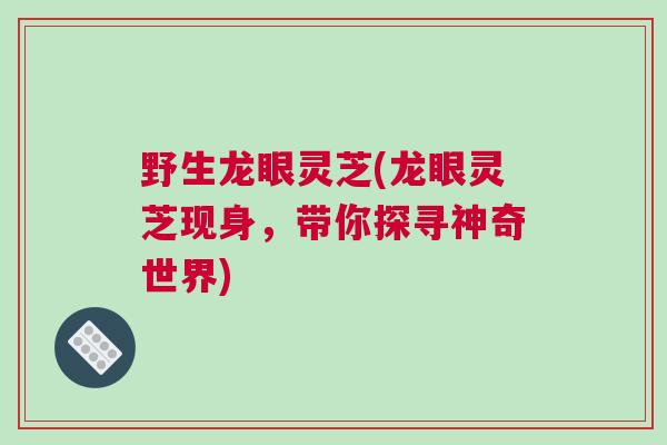 野生龙眼灵芝(龙眼灵芝现身，带你探寻神奇世界)