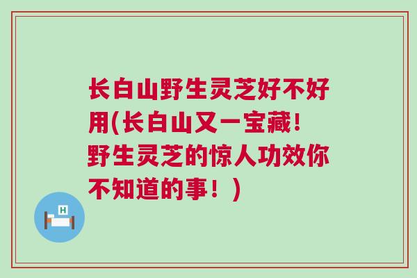 长白山野生灵芝好不好用(长白山又一宝藏！野生灵芝的惊人功效你不知道的事！)