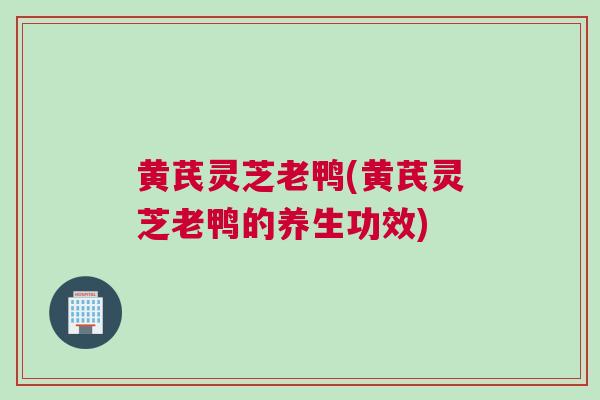 黄芪灵芝老鸭(黄芪灵芝老鸭的养生功效)