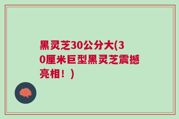 黑灵芝30公分大(30厘米巨型黑灵芝震撼亮相！)
