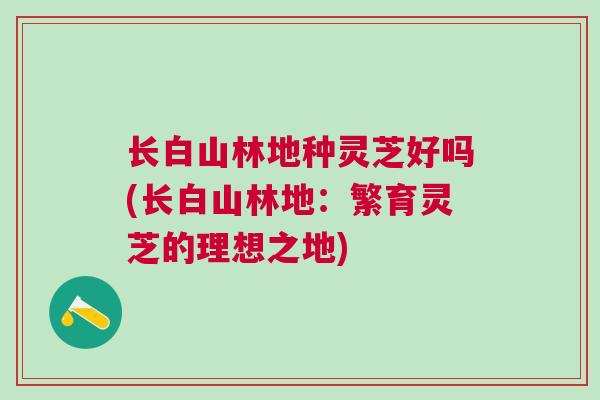 长白山林地种灵芝好吗(长白山林地：繁育灵芝的理想之地)