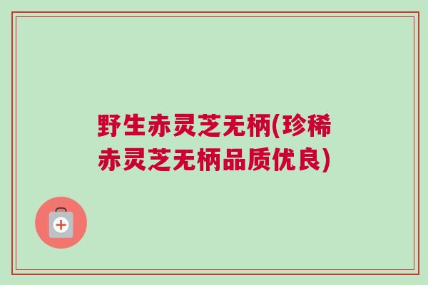 野生赤灵芝无柄(珍稀赤灵芝无柄品质优良)