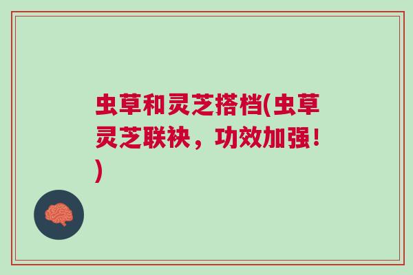 虫草和灵芝搭档(虫草灵芝联袂,功效加强!) 虫草和灵芝搭档(虫草灵芝联袂,功效加强!)
