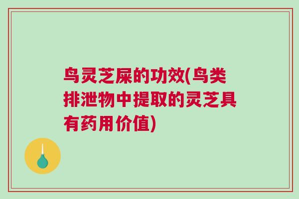 鸟灵芝屎的功效(鸟类排泄物中提取的灵芝具有药用价值)