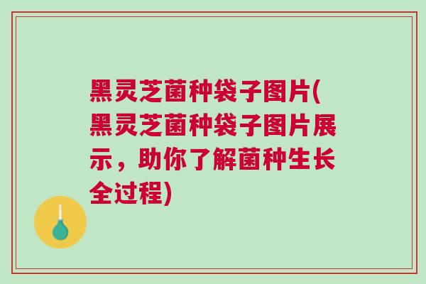 黑灵芝菌种袋子图片(黑灵芝菌种袋子图片展示，助你了解菌种生长全过程)