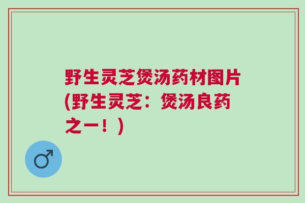 野生灵芝煲汤药材图片(野生灵芝:煲汤良药之一!) 野生灵芝煲汤药材图片(野生灵芝:煲汤良药之一!)
