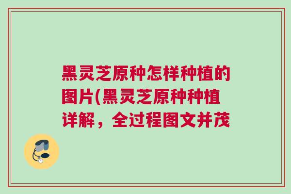 黑灵芝原种怎样种植的图片(黑灵芝原种种植详解，全过程图文并茂