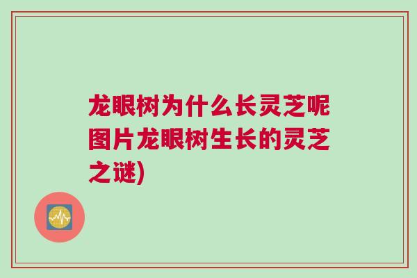 龙眼树为什么长灵芝呢图片龙眼树生长的灵芝之谜)