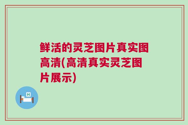 鲜活的灵芝图片真实图高清(高清真实灵芝图片展示)