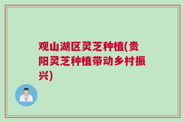观山湖区灵芝种植(贵阳灵芝种植带动乡村振兴)