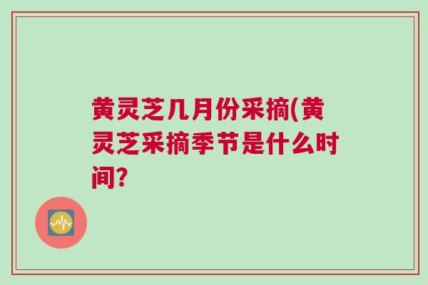 黄灵芝几月份采摘(黄灵芝采摘季节是什么时间？
