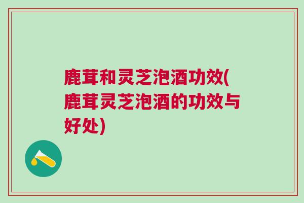 鹿茸和灵芝泡酒功效(鹿茸灵芝泡酒的功效与好处) 鹿茸和灵芝泡酒功效(鹿茸灵芝泡酒的功效与好处)
