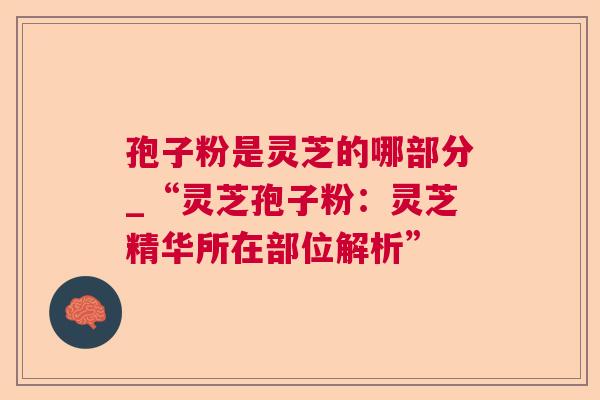 孢子粉是灵芝的哪部分_“灵芝孢子粉：灵芝精华所在部位解析”