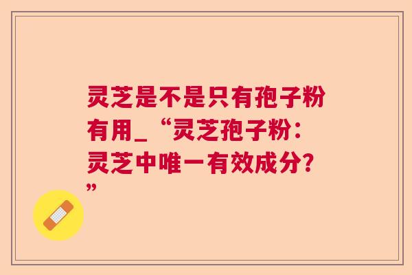 灵芝是不是只有孢子粉有用_“灵芝孢子粉：灵芝中有效成分？”