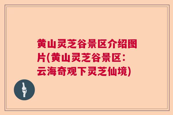 黄山灵芝谷景区介绍图片(黄山灵芝谷景区：云海奇观下灵芝仙境)