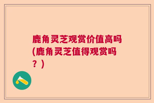 鹿角灵芝观赏价值高吗(鹿角灵芝值得观赏吗？)