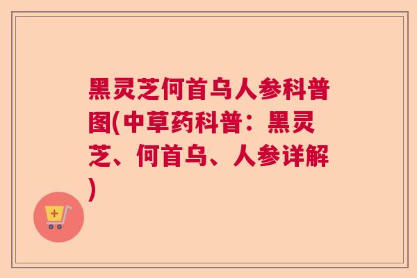 黑灵芝何首乌人参科普图(中草药科普:黑灵芝、何首乌、人参详解) 黑灵芝何首乌人参科普图(中草药科普:黑灵芝、何首乌、人参详解)