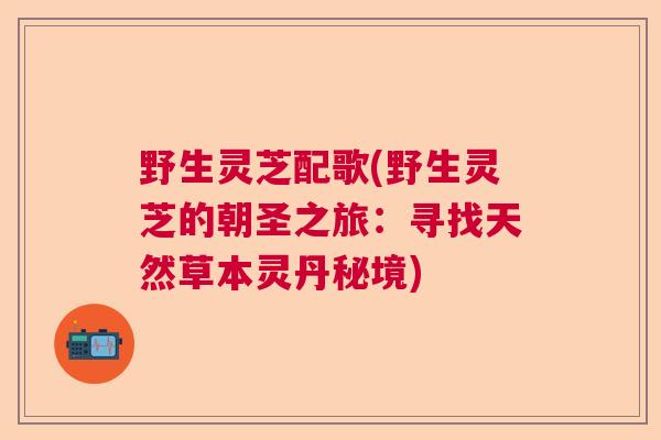 野生灵芝配歌(野生灵芝的朝圣之旅：寻找天然草本灵丹秘境)