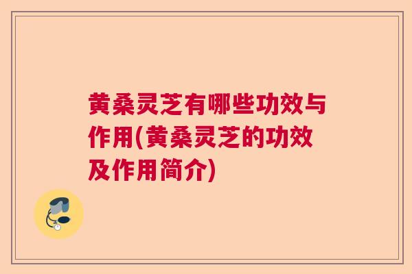 黄桑灵芝有哪些功效与作用(黄桑灵芝的功效及作用简介)