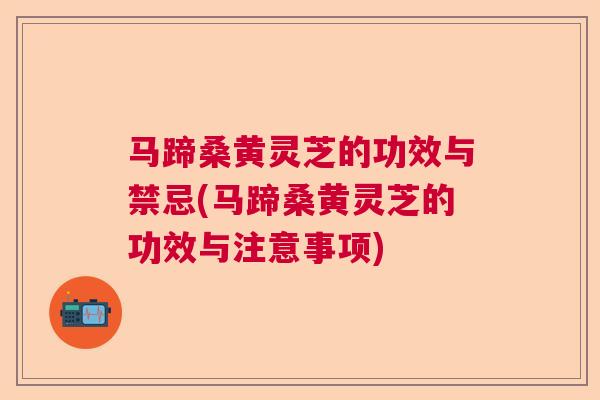 马蹄桑黄灵芝的功效与禁忌(马蹄桑黄灵芝的功效与注意事项)