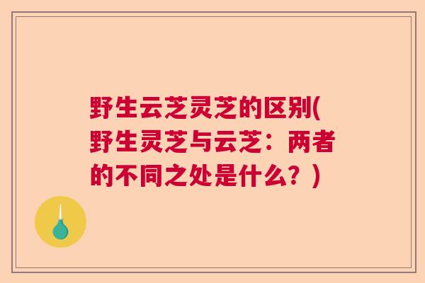 野生云芝灵芝的区别(野生灵芝与云芝：两者的不同之处是什么？)